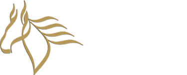 Arabian Centres Investor Documentary logo